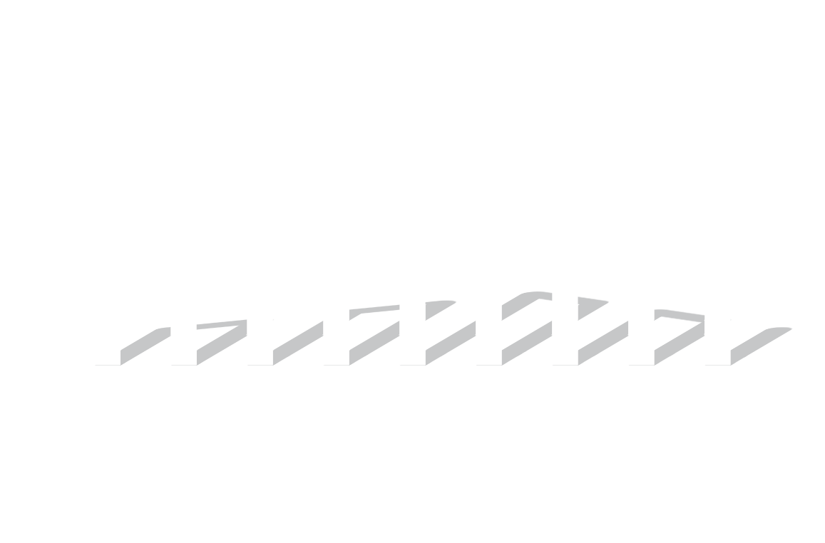Footer Logo
